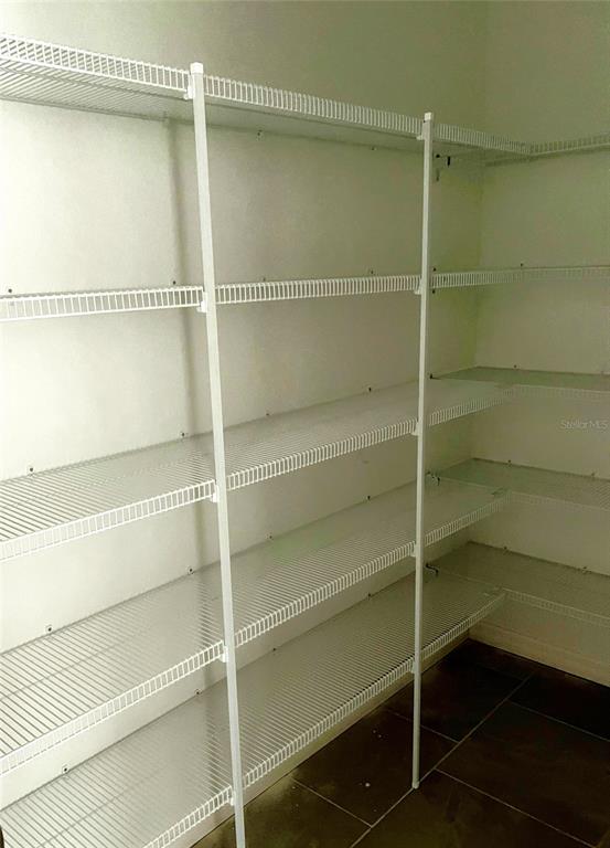 7724 Broad River Avenue Land O Lakes, FL 34638 - Photo 11 of 40 a view of walk in closet with empty racks