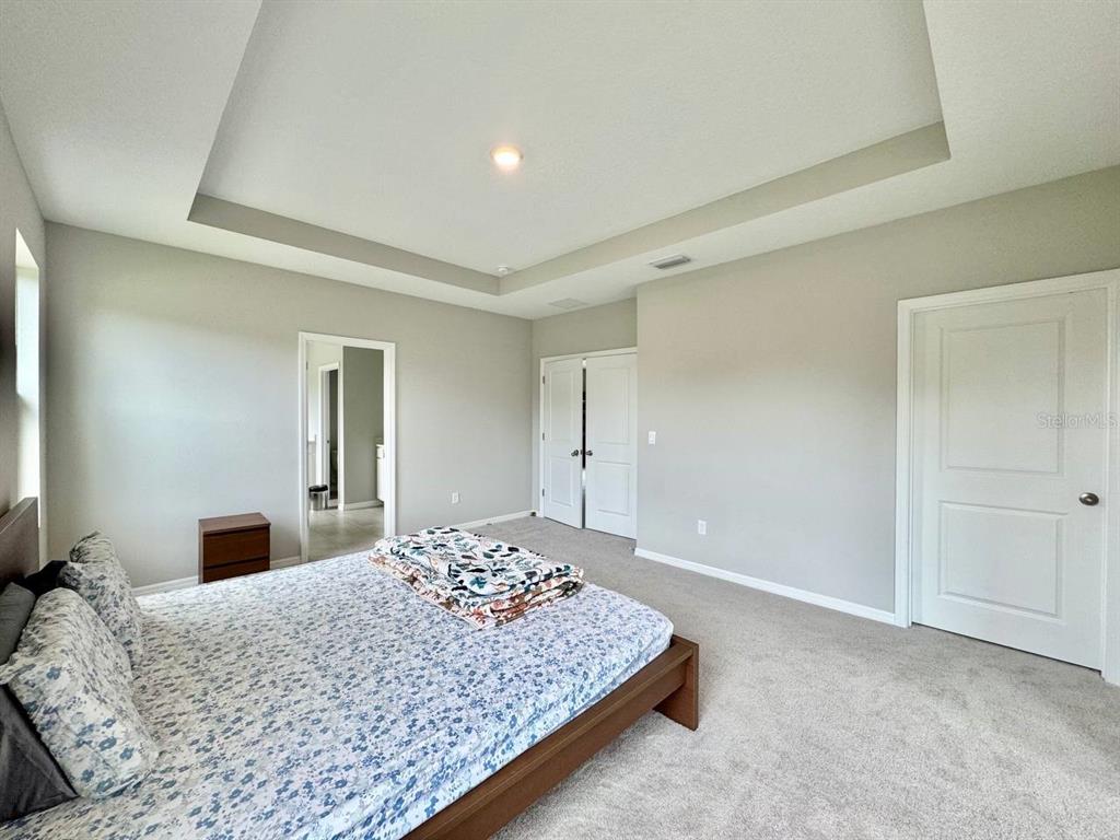 7724 Broad River Avenue Land O Lakes, FL 34638 - Photo 29 of 40 a bedroom with a large bed and a chandelier
