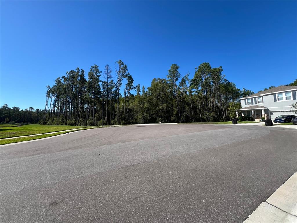 7724 Broad River Avenue Land O Lakes, FL 34638 - Photo 38 of 40 a view of road and yard