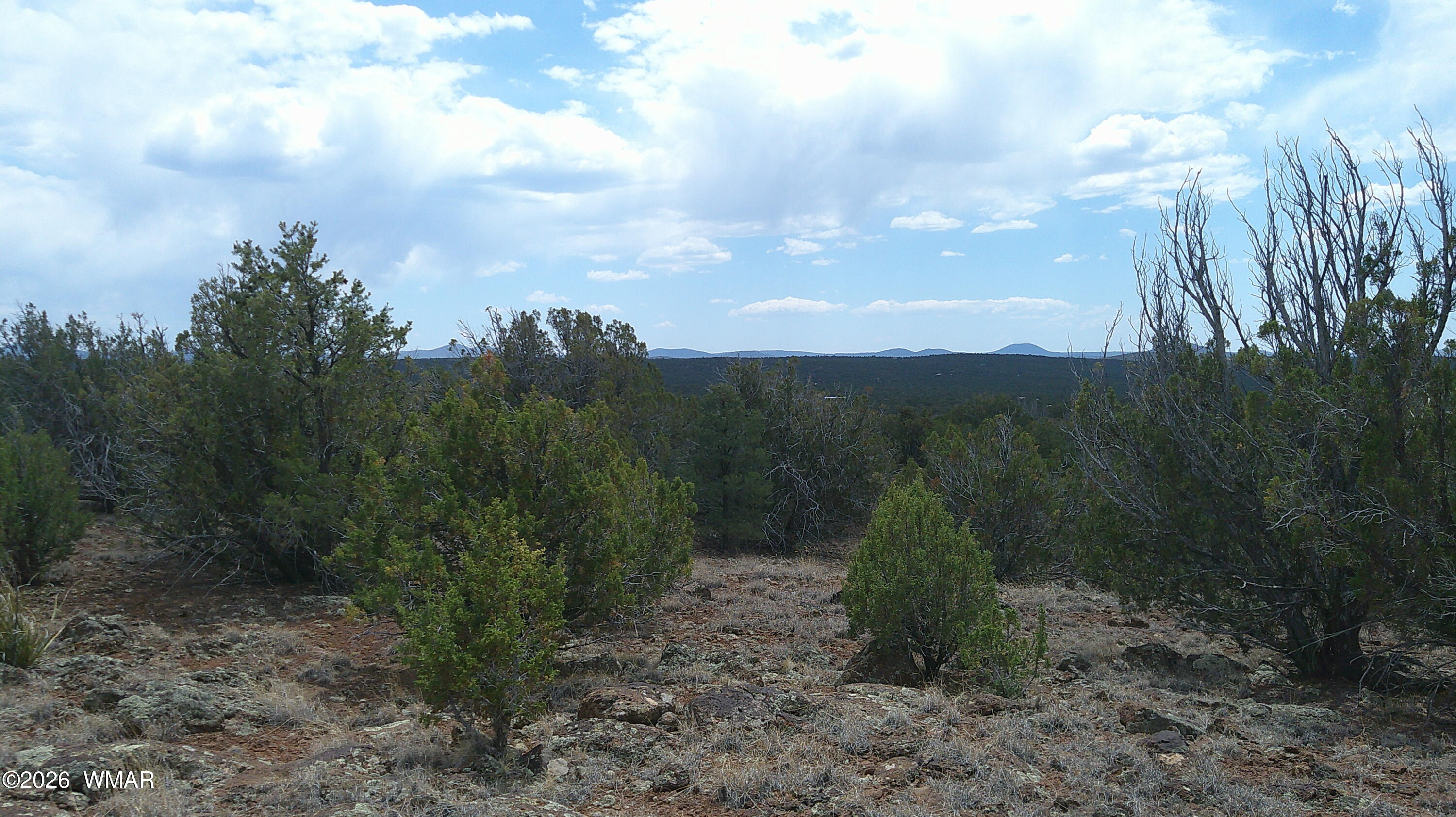 74 Co Road Concho, AZ 85924 - Photo 2 of 11 DSCF0011