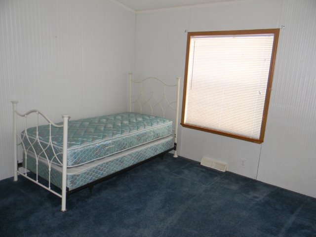 390 West Geers Road McBain, MI 49657 - Photo 22 of 23 1813872-22.JPG