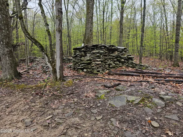 $1,125,000 | 301 Lape Road, Charleston, NY 12066