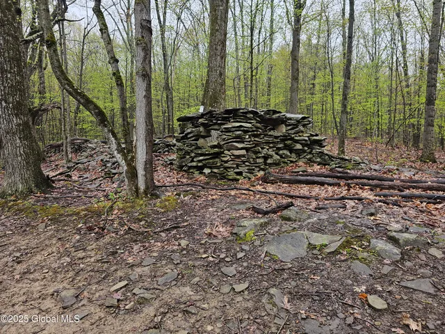 $1,125,000 | 301 Lape Road, Charleston, NY 12066