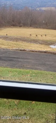 $1,125,000 | 301 Lape Road, Charleston, NY 12066