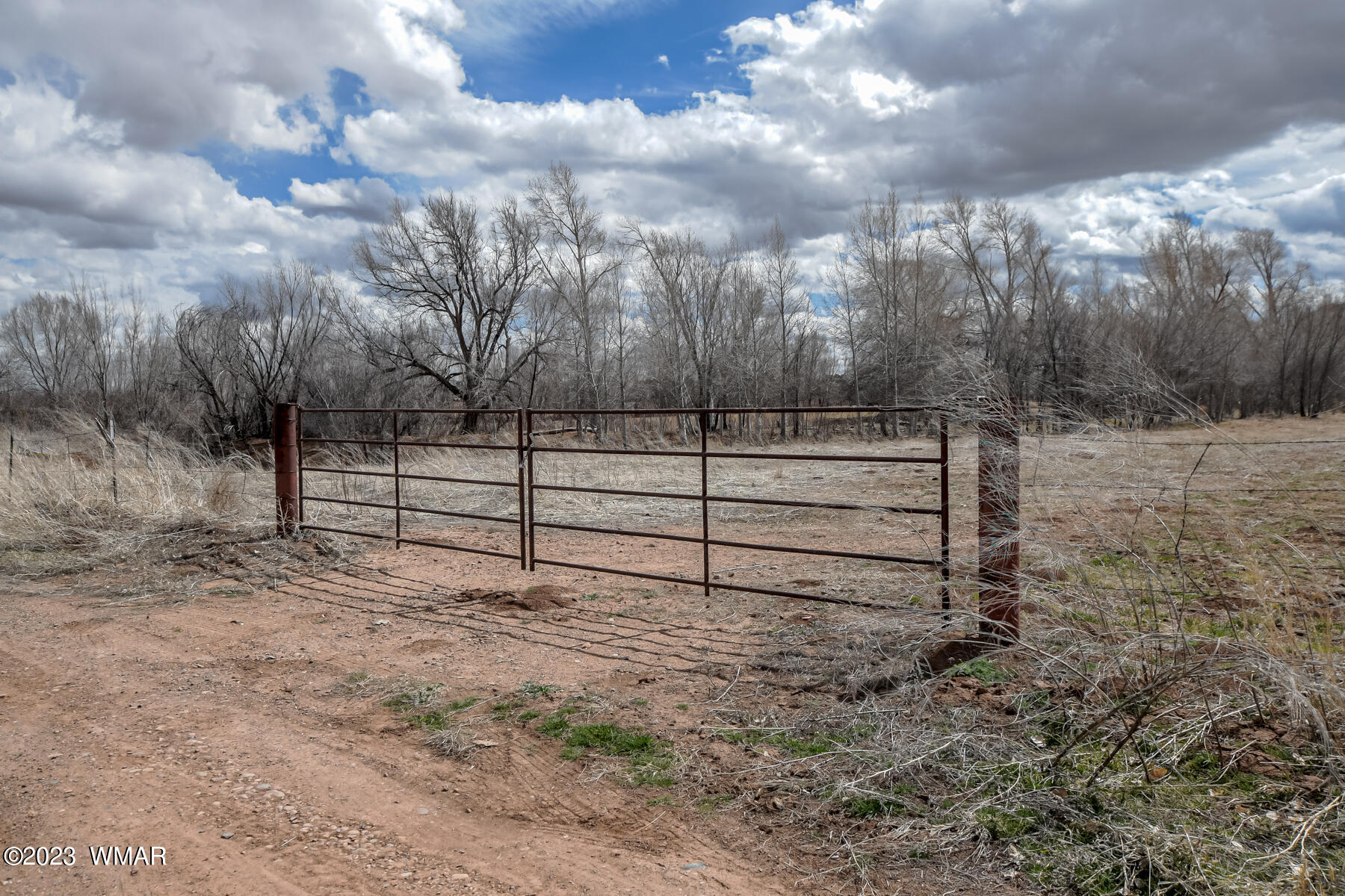 Tbd East Larson Lane Snowflake, AZ 85937 - Photo 4 of 13
