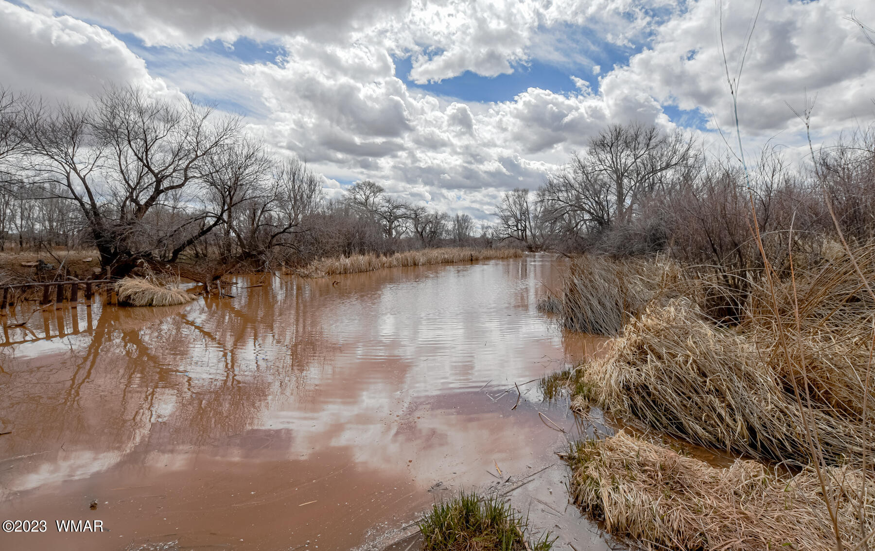 Tbd East Larson Lane Snowflake, AZ 85937 - Photo 8 of 13