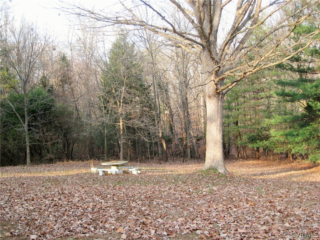 2166 Tower Hill Road Powhatan, VA 23139 - Photo 3 of 12 Gallery Image 3