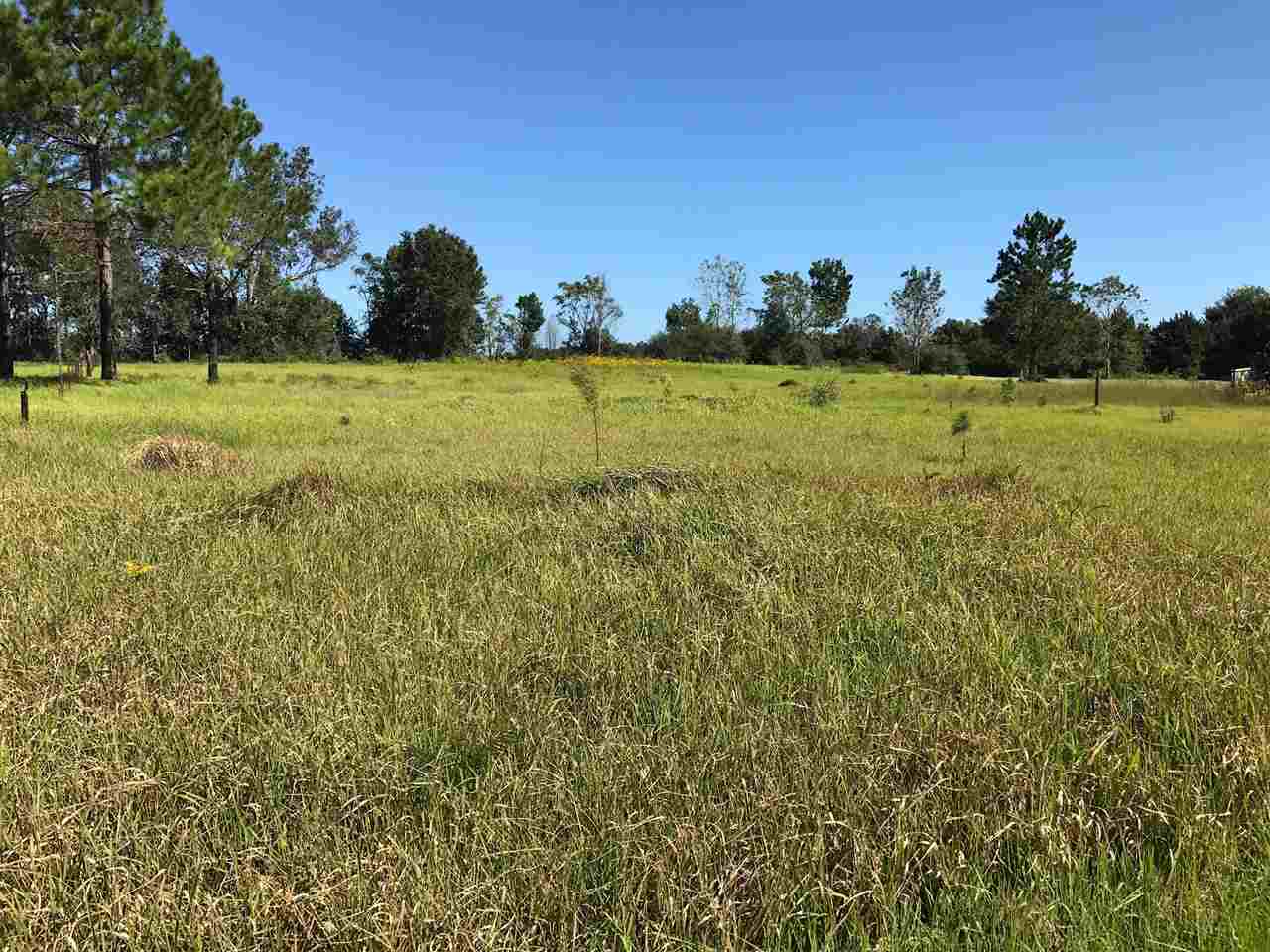 23288 Ryan Road Robertsdale, AL 36567 - Photo 8 of 8
