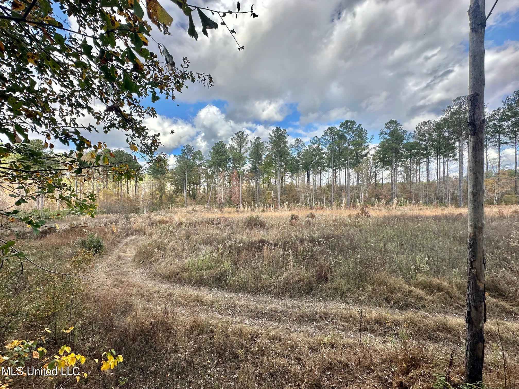 1 Truitt Road Pickens, MS 39146 - Photo 11 of 35 10