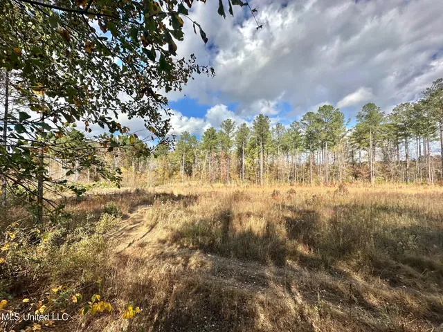 $135,000 | 1 Truitt Road, Pickens, MS 39146