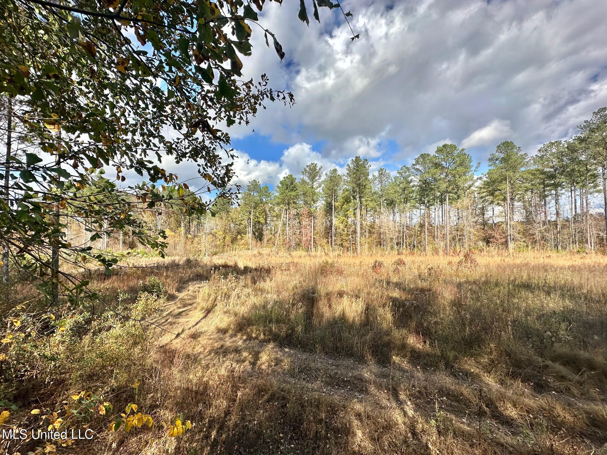 1 Truitt Road Pickens, MS 39146 - Photo 12 of 35 11