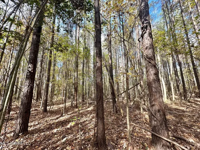 $135,000 | 1 Truitt Road, Pickens, MS 39146