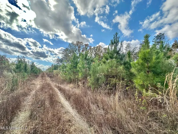 $124,000 | 1 Truitt Road, Pickens, MS 39146