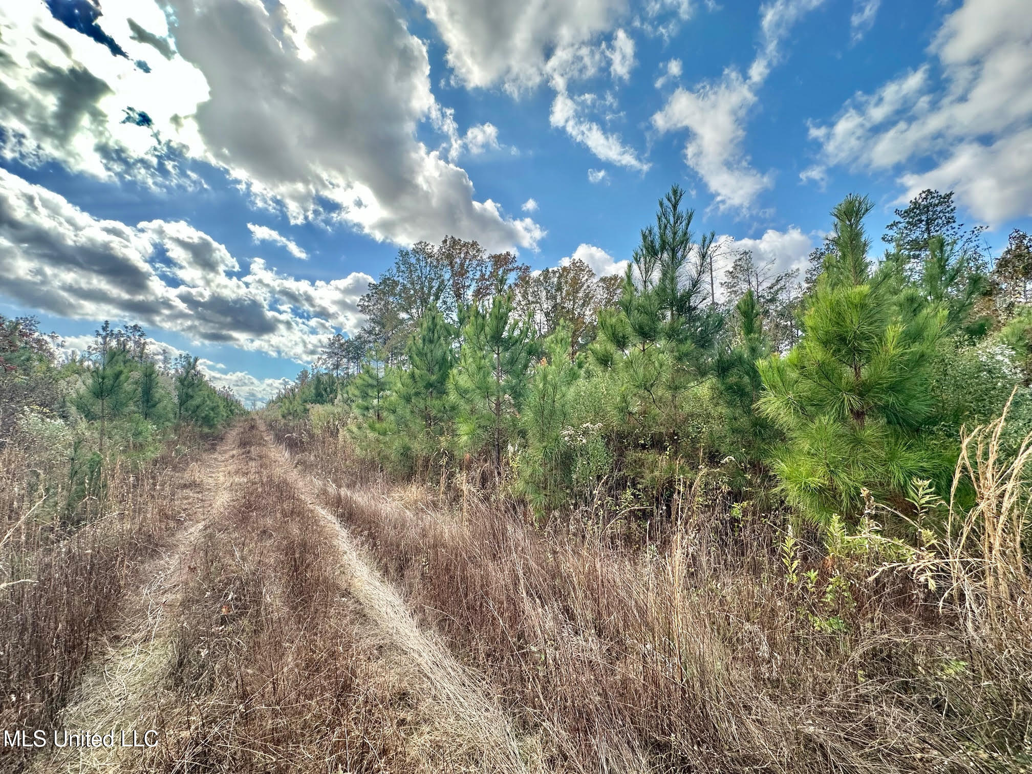 1 Truitt Road Pickens, MS 39146 - Photo 15 of 35 14
