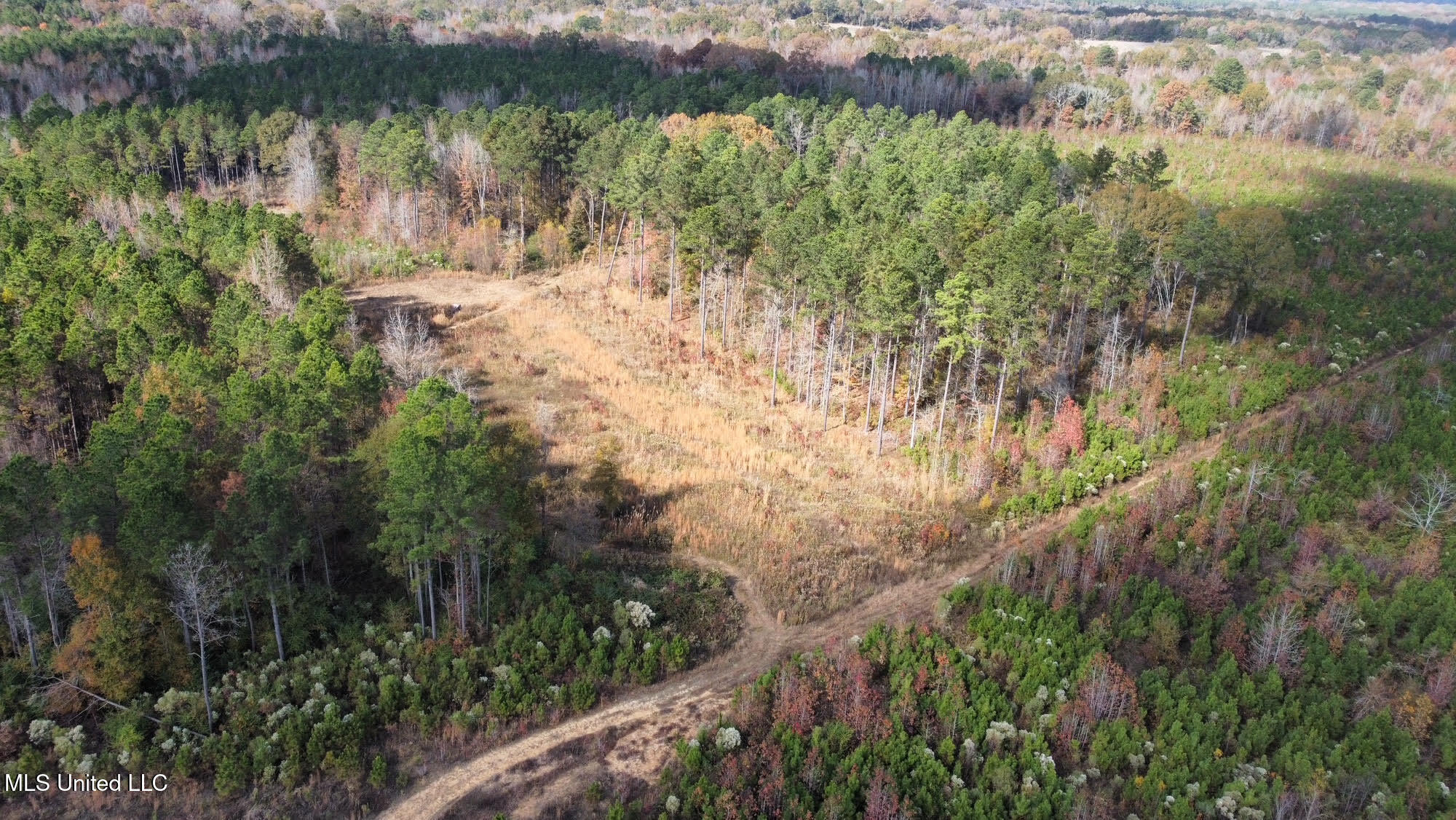 1 Truitt Road Pickens, MS 39146 - Photo 17 of 35 16