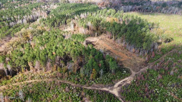 $135,000 | 1 Truitt Road, Pickens, MS 39146