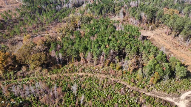 $135,000 | 1 Truitt Road, Pickens, MS 39146