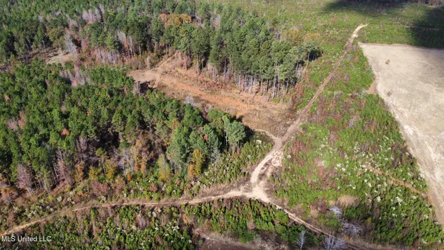 $135,000 | 1 Truitt Road, Pickens, MS 39146