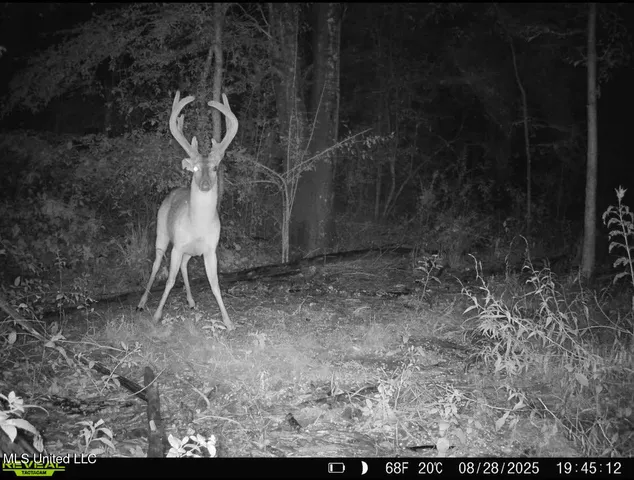 $135,000 | 1 Truitt Road, Pickens, MS 39146