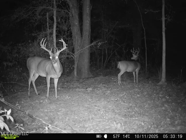 $135,000 | 1 Truitt Road, Pickens, MS 39146