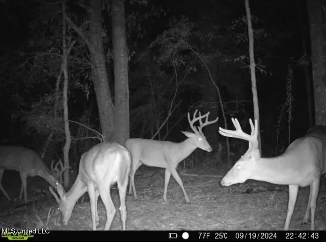 $135,000 | 1 Truitt Road, Pickens, MS 39146