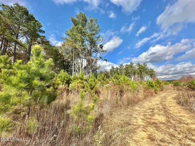 $135,000 | 1 Truitt Road, Pickens, MS 39146