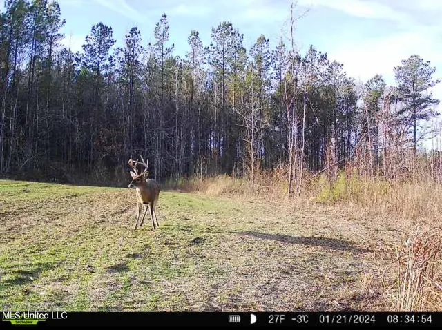 $135,000 | 1 Truitt Road, Pickens, MS 39146