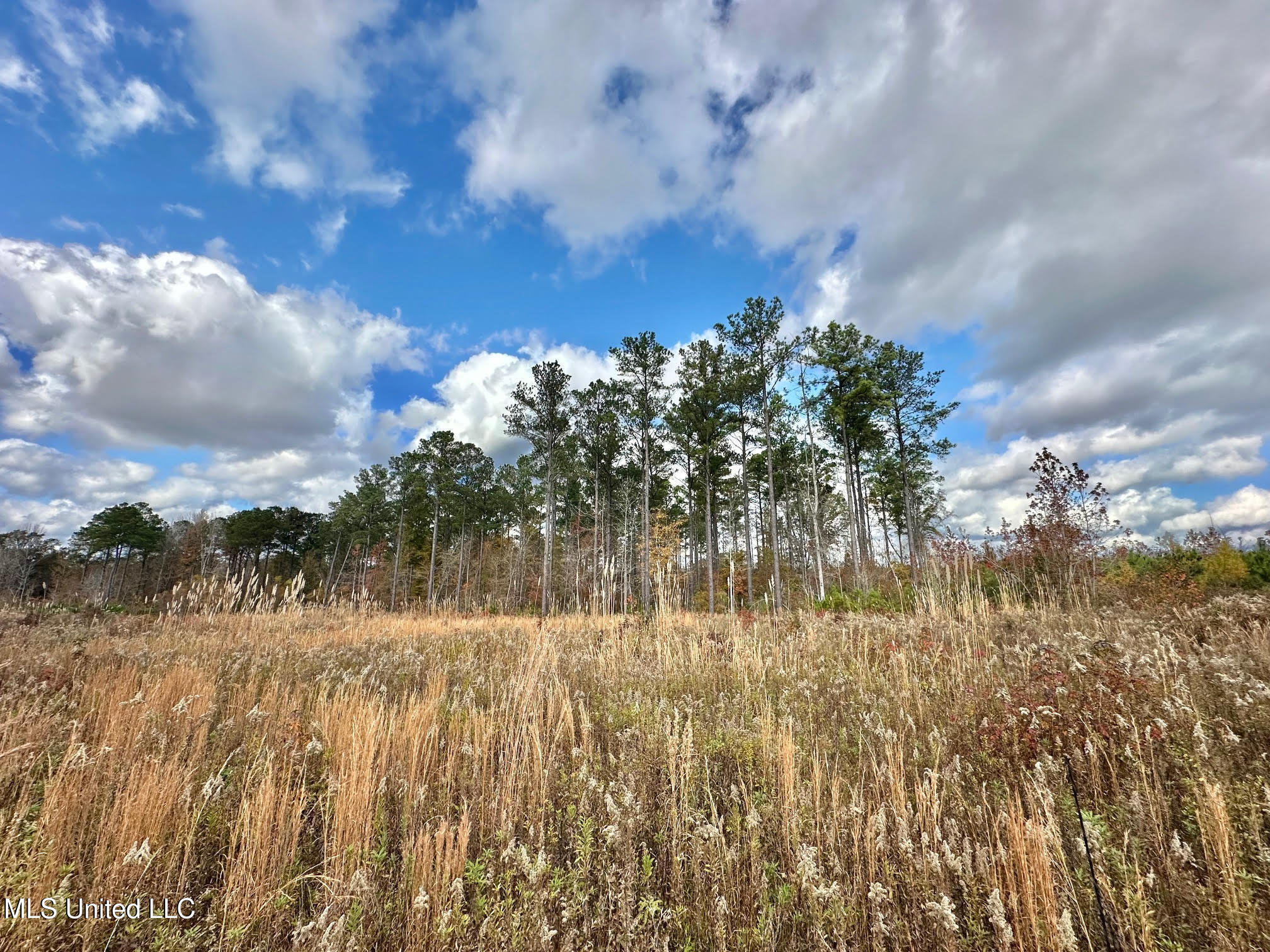 1 Truitt Road Pickens, MS 39146 - Photo 4 of 35 3