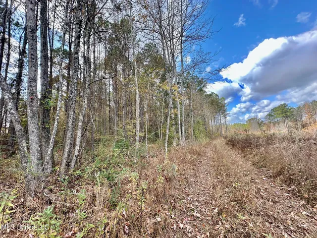 $135,000 | 1 Truitt Road, Pickens, MS 39146