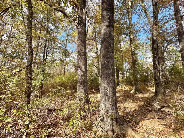 $135,000 | 1 Truitt Road, Pickens, MS 39146