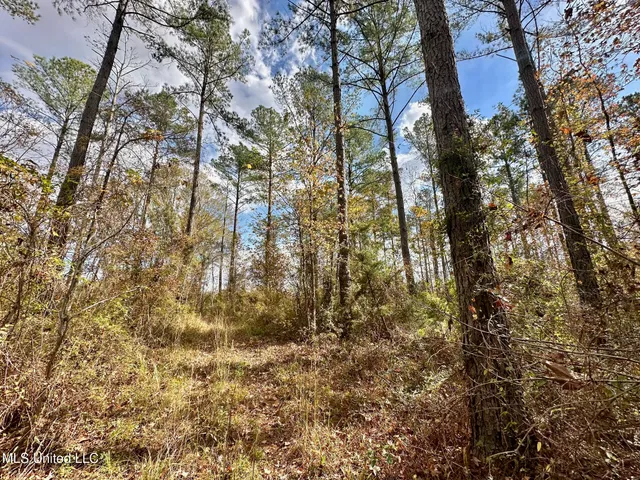 $135,000 | 1 Truitt Road, Pickens, MS 39146
