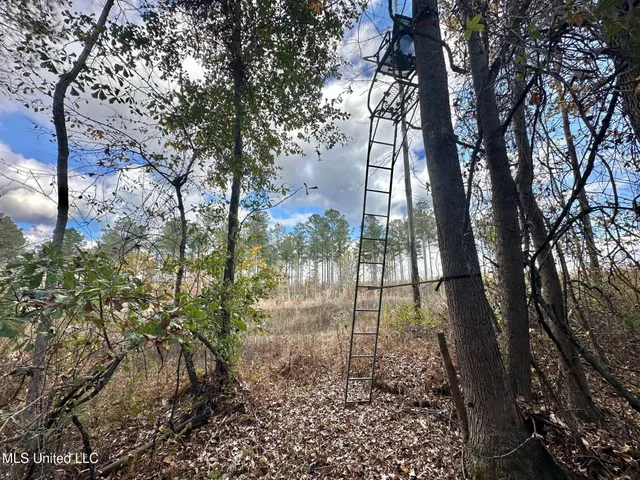 $135,000 | 1 Truitt Road, Pickens, MS 39146