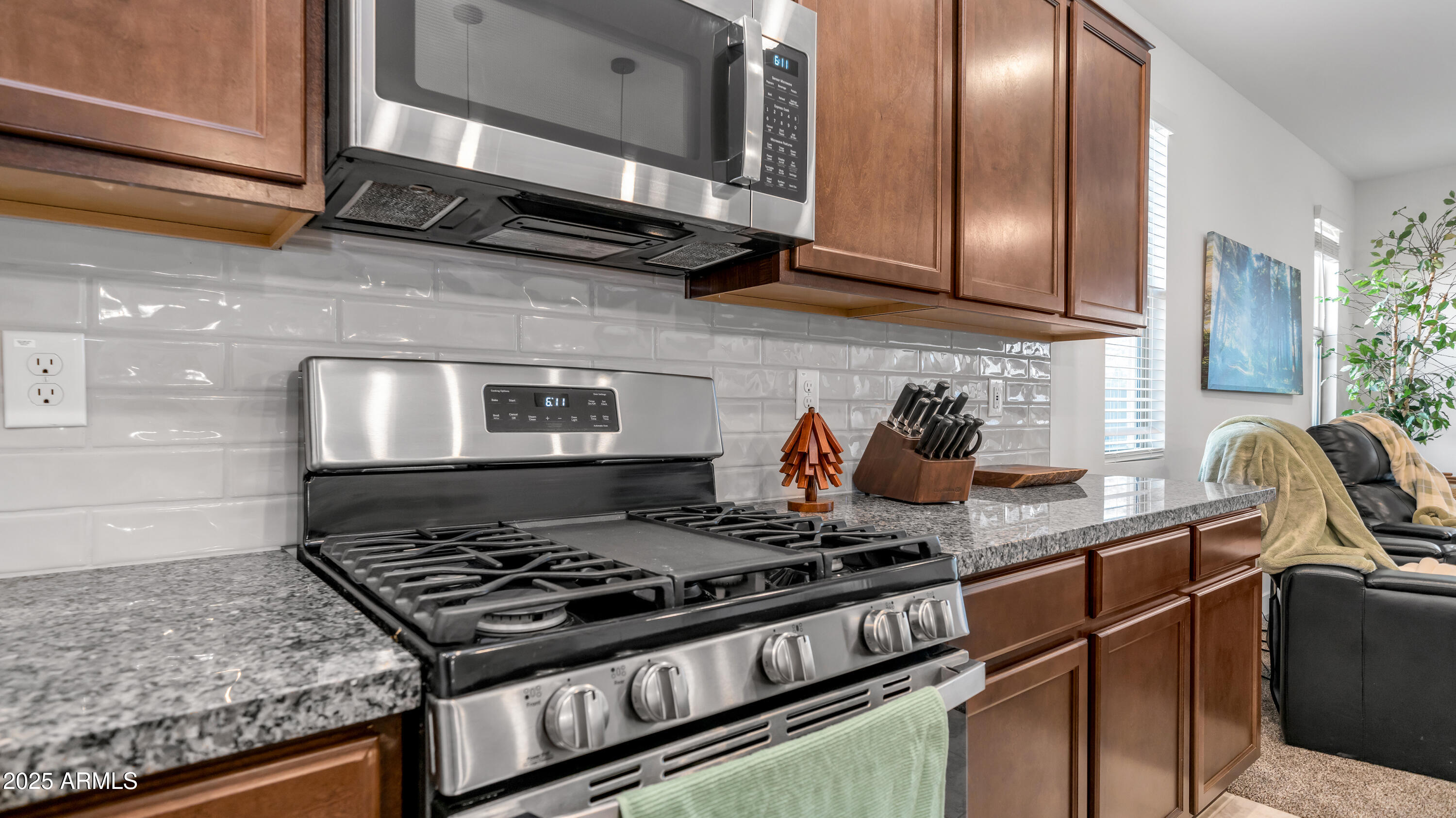 16159 South 177th Drive Goodyear, AZ 85338 - Photo 7 of 28 stove