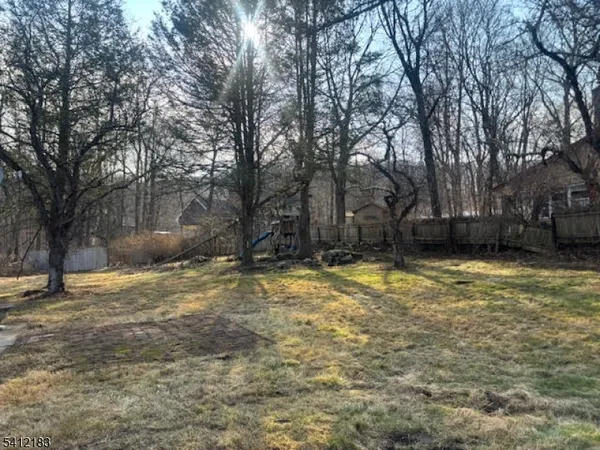 a view of a yard with a large tree