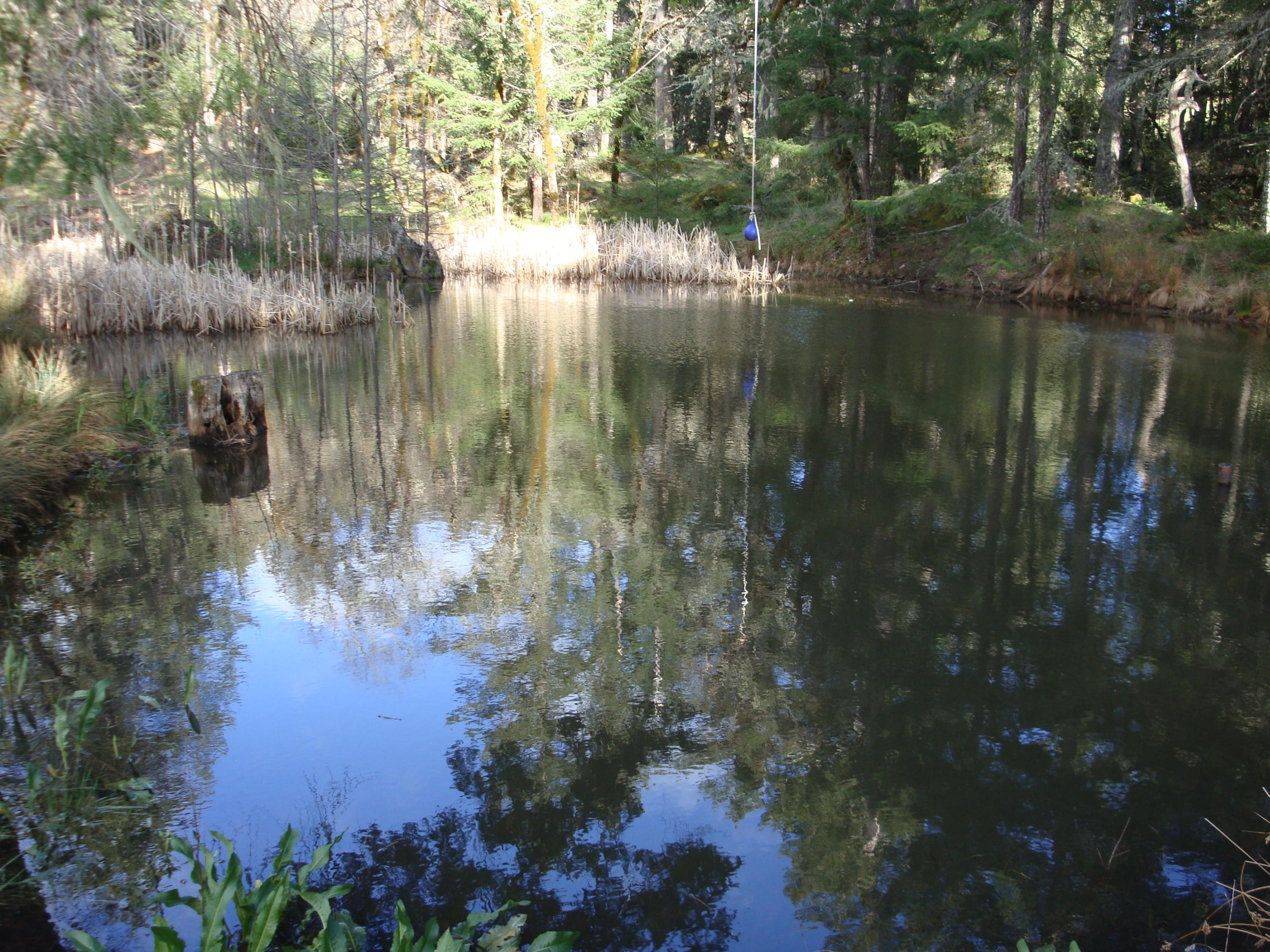 0 Buck Mountain Road Bridgeville, CA 95526 - Photo 25 of 33