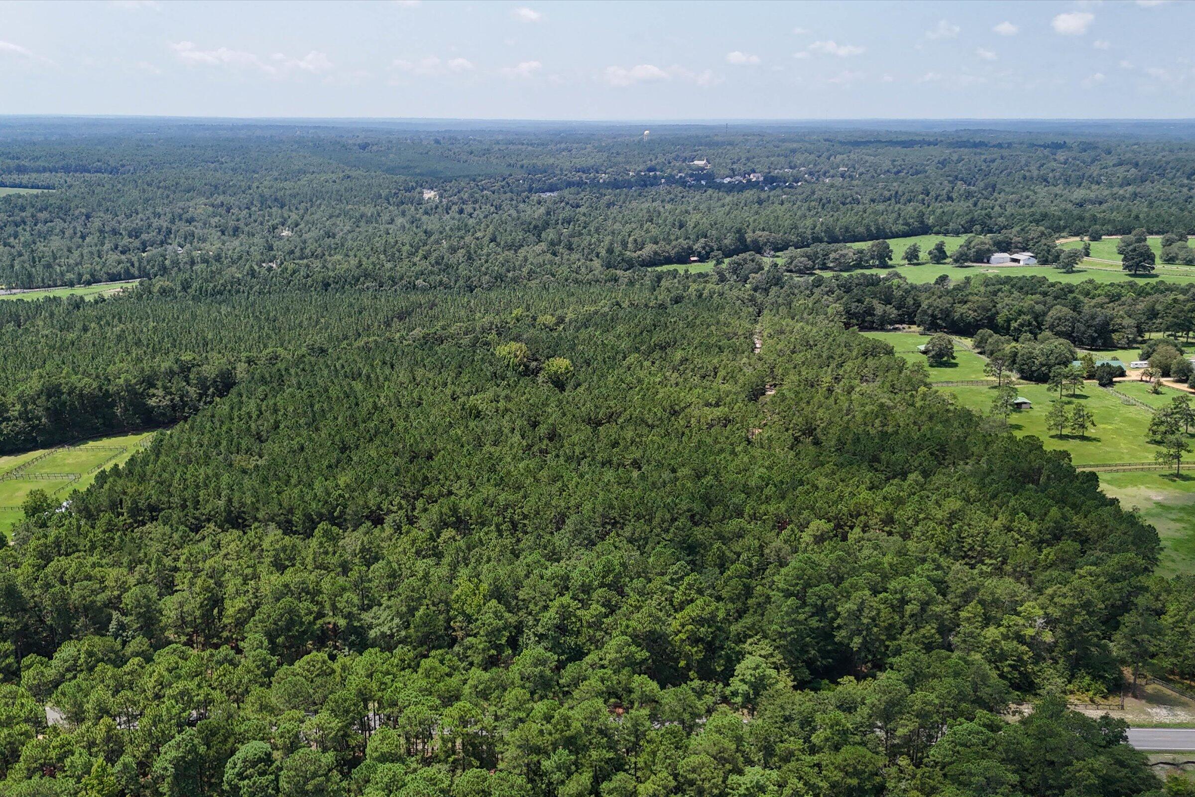 3320 Banks Mill Road Southeast Aiken, SC 29803 - Photo 6 of 20