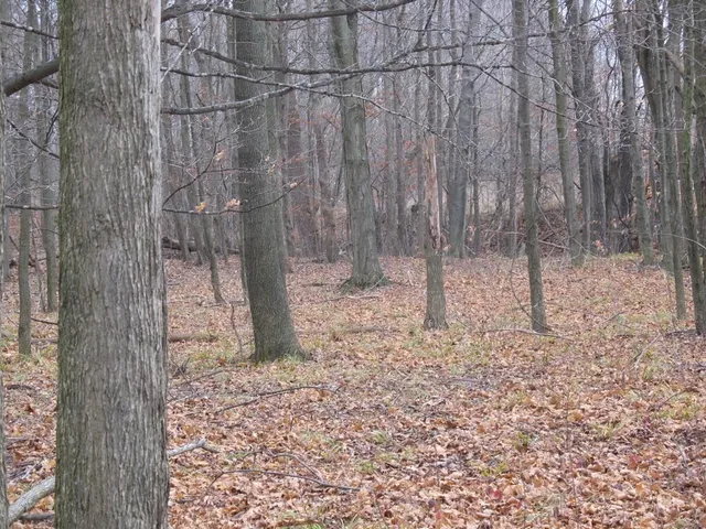 $19,900 | 59 Creek Drive, Hart, MI 49420