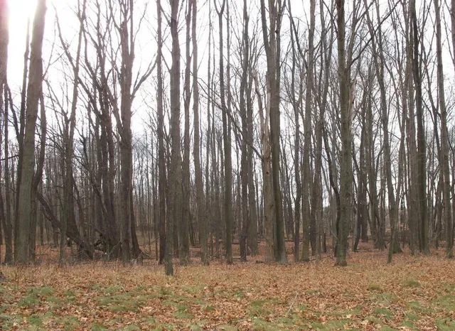 $19,900 | 59 Creek Drive, Hart, MI 49420