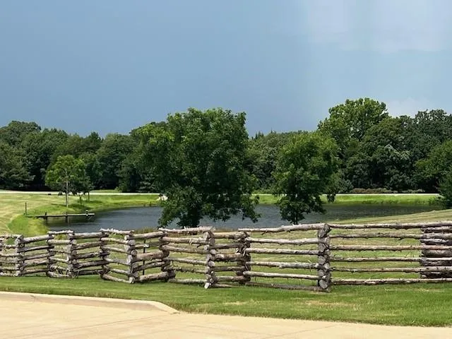 a view of a garden with an outdoor space