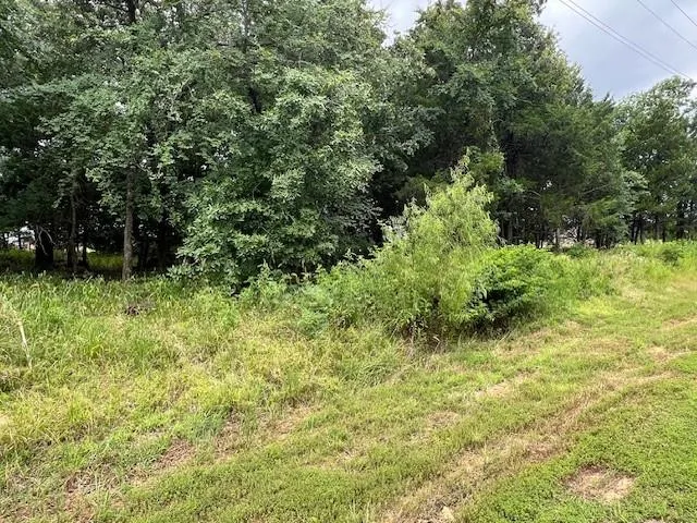 a view of backyard with green space