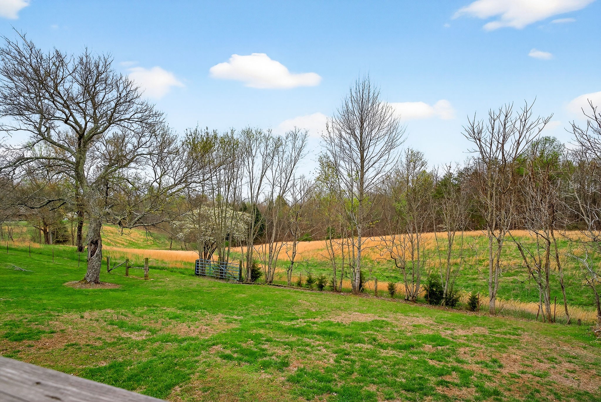 131 Poplar Springs Road Cookeville, TN 38506 - Photo 32 of 50 a view of a park