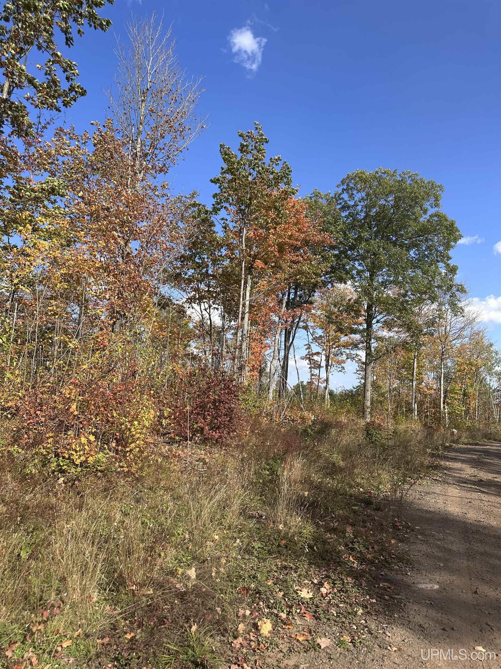 Tbd Co Rd 496 (b) Road, Unit PARCEL B Champion, MI 49814 - Photo 26 of 33