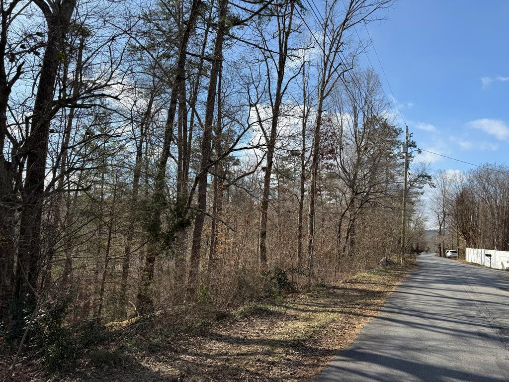 0 Sunrise Street Murphy, NC 28906 - Photo 1 of 5 Main View