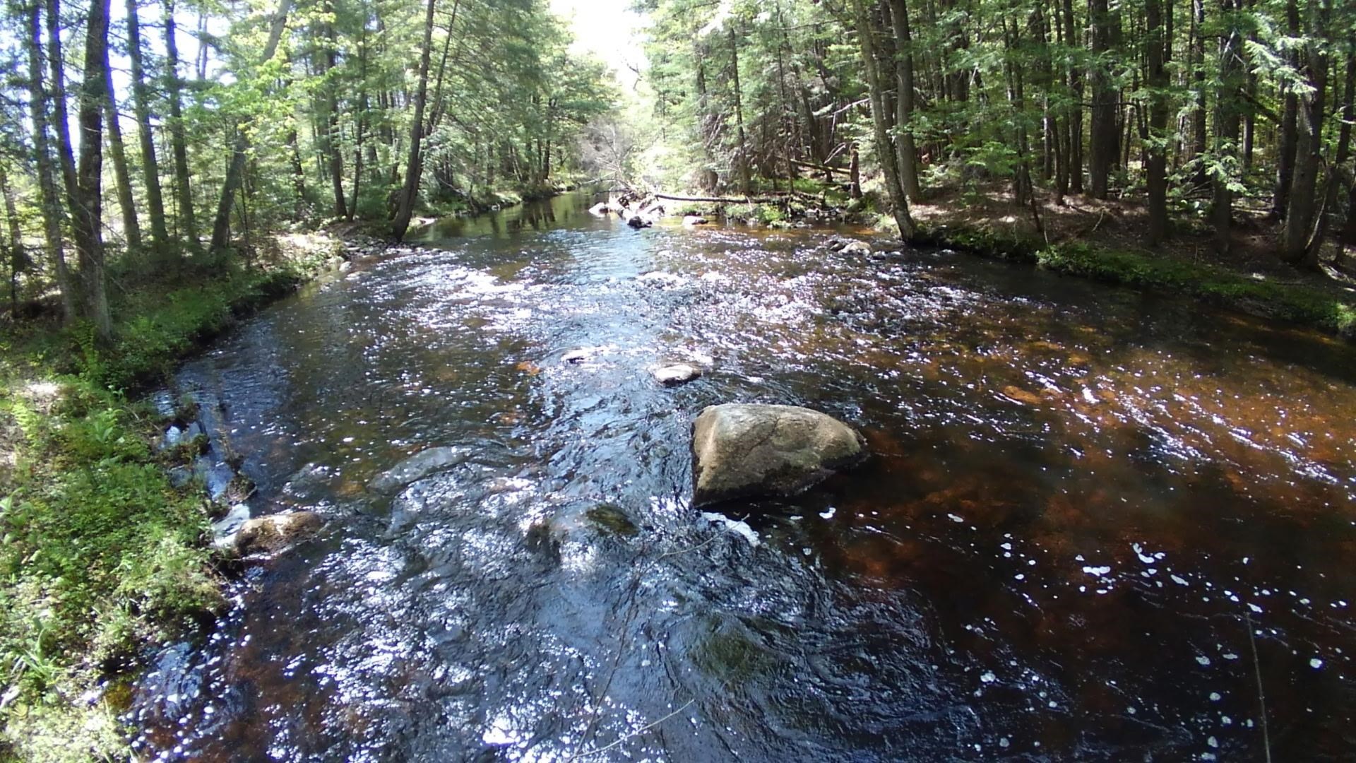 28 Beech River Circle Ossipee, NH 03814 - Photo 12 of 19