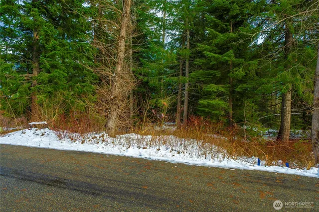 a view of a wooden floor with a tree