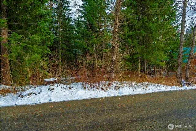 a view of a yard with of trees