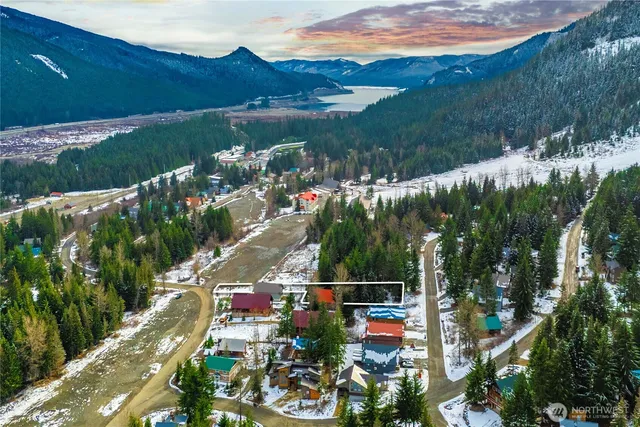 a view of a yard with plants