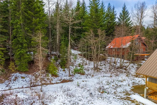 a view of a yard with plants and trees