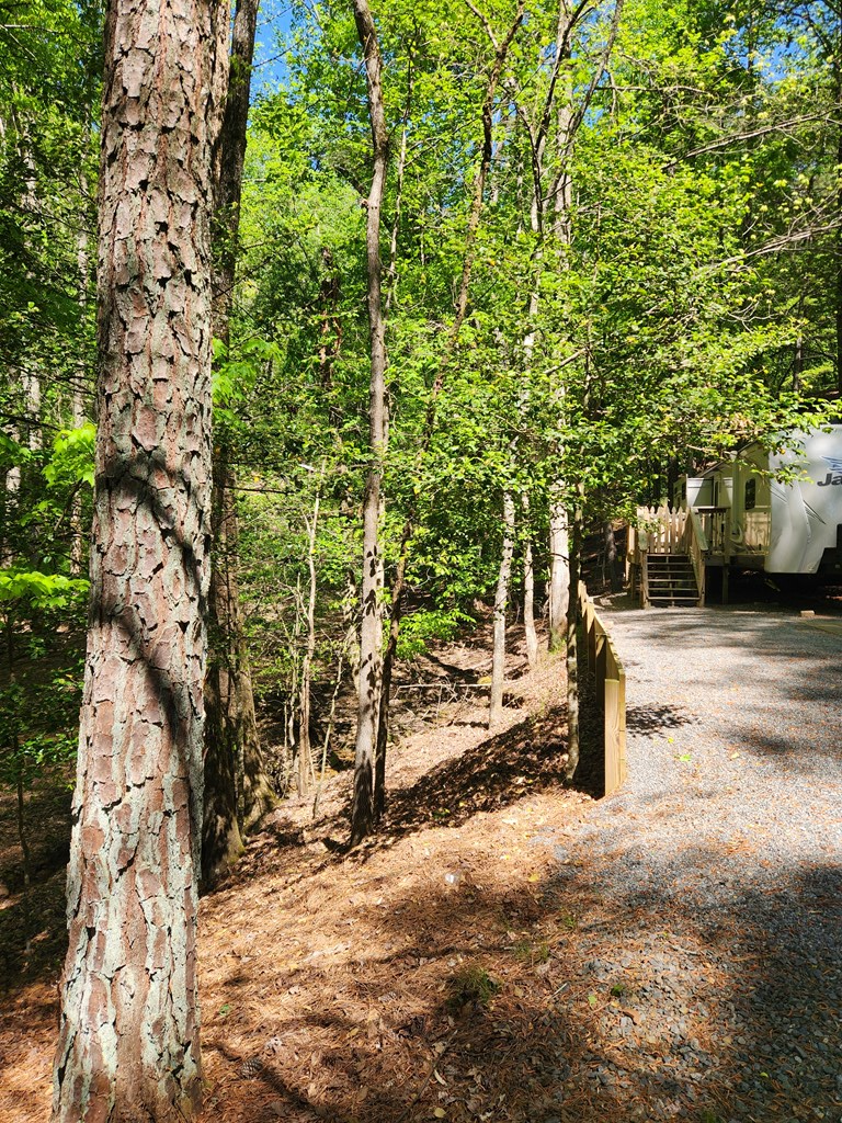 257 20th Street Ellijay, GA 30540 - Photo 3 of 29 a view of street along with trees