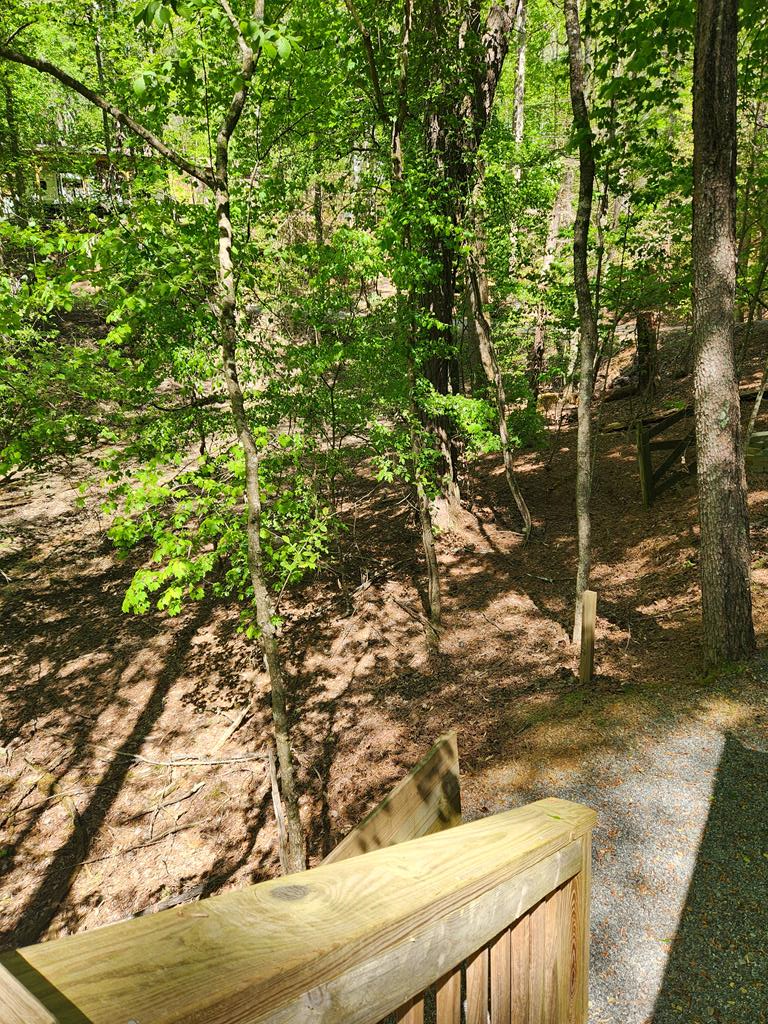 257 20th Street Ellijay, GA 30540 - Photo 7 of 29